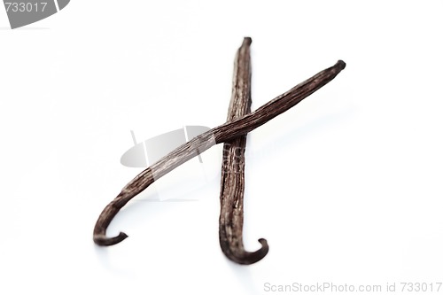 Image of Vanilla Beans