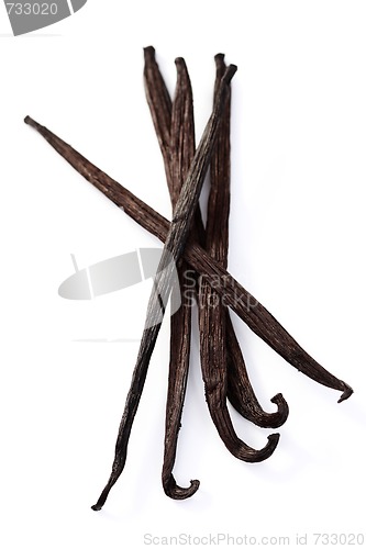 Image of Vanilla Beans