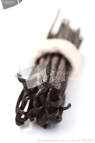 Image of Vanilla Beans