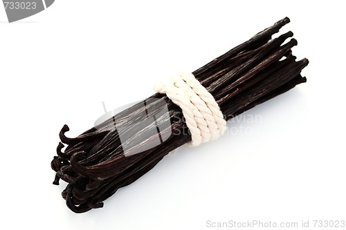 Image of Vanilla Beans