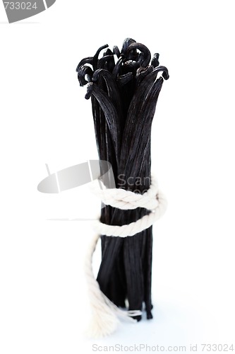 Image of Vanilla Beans