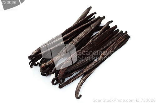 Image of Vanilla Beans