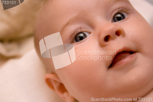 Image of Baby close-up