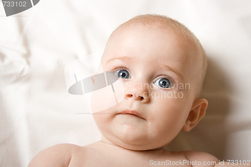 Image of Baby portrait