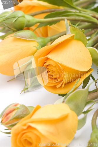 Image of yellow flowers