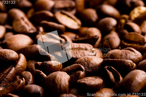 Image of coffee beans