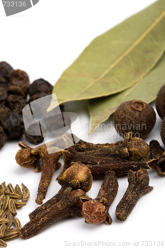 Image of bay leafs, cloves and black pepper