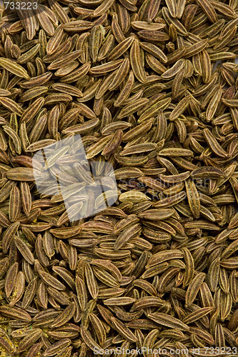 Image of caraway seeds