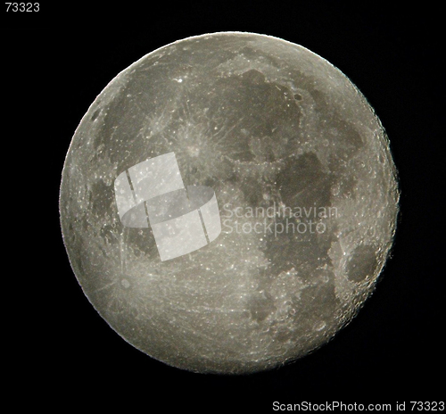 Image of The Full Moon