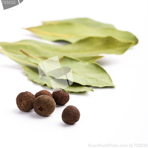 Image of bay leafs and black pepper