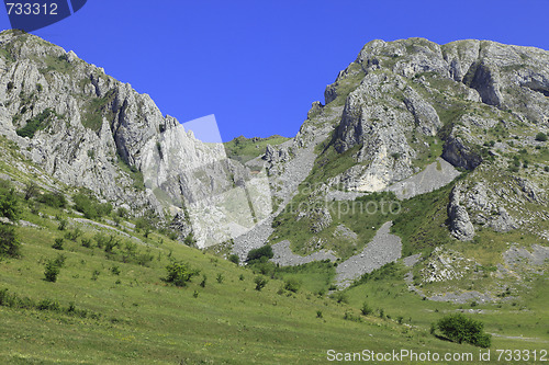 Image of Trascau Mountains