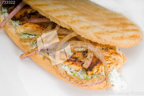 Image of chicken and onion grilled panini sandwich