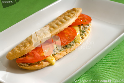 Image of tuna tomato and cheese grilled panini sandwich