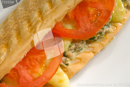 Image of tuna tomato and cheese grilled panini sandwich