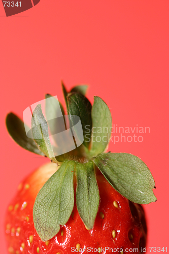 Image of half strawberry