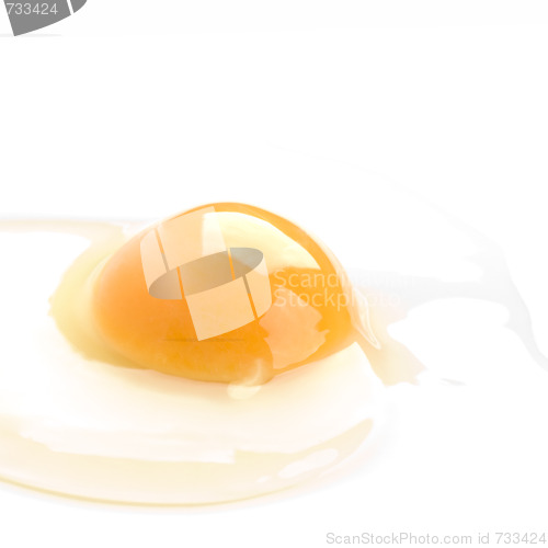 Image of chiken egg