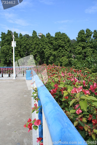 Image of overbridge with green plants