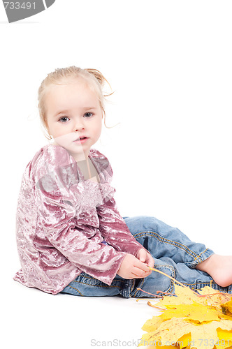 Image of Toddler with maple leaves