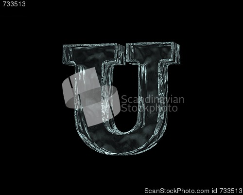 Image of frozen leter U