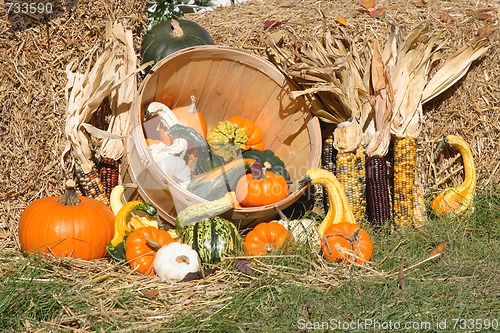 Image of Thanksgiving Day spirit.