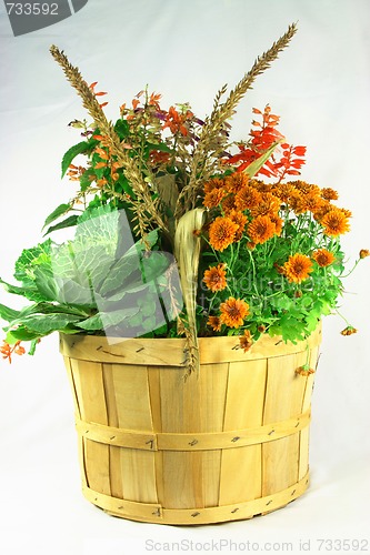 Image of Fall flowers bouquet. 