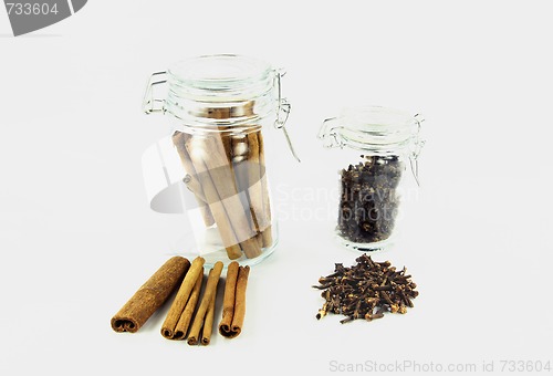 Image of Cinnamon and clove. 