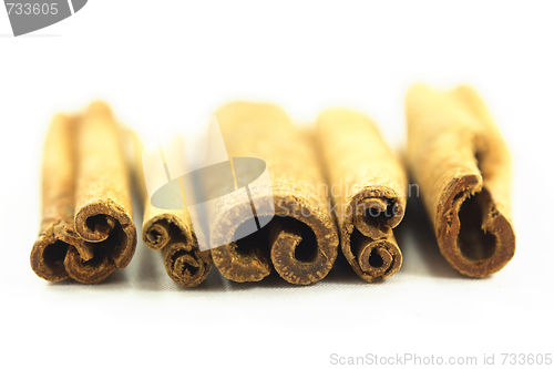 Image of Group of Cinnamon sticks. 