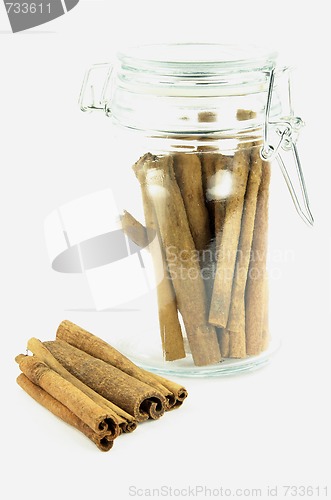 Image of Cinnamon sticks. 