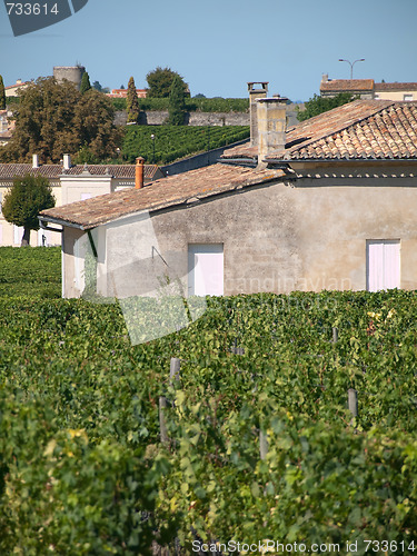 Image of House  in vineyards