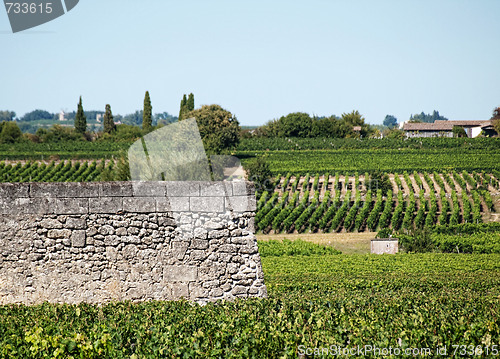 Image of Wall in vineyard
