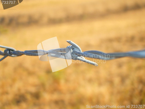 Image of Barbed Wire