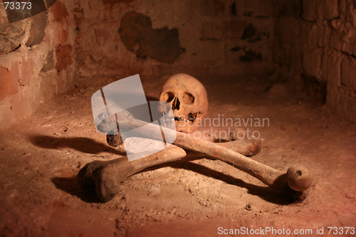 Image of Skull and Crossbones