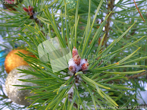 Image of Christmas tree buttons