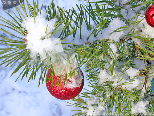 Image of Christmas tree under snow