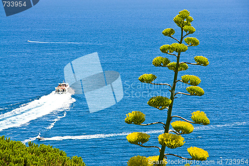 Image of Sailing boats