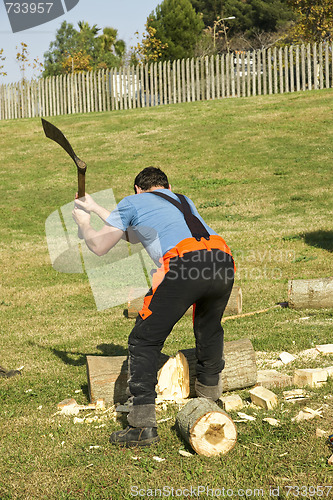 Image of Woodcutter