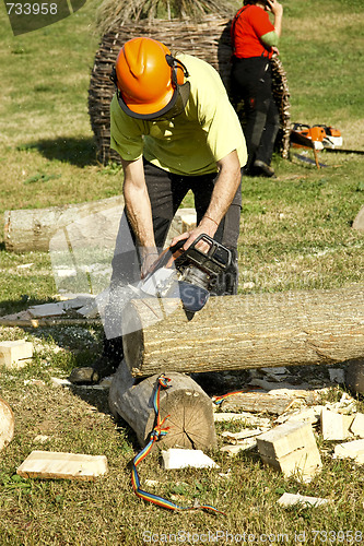 Image of Woodcutter