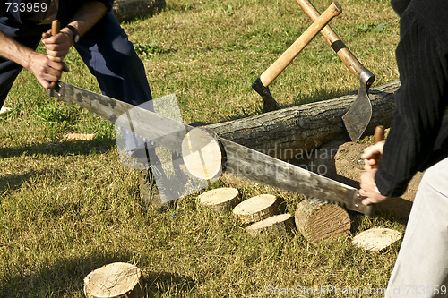 Image of Woodcutters