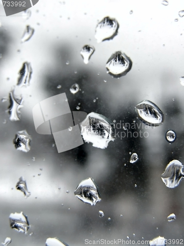 Image of Rain drops