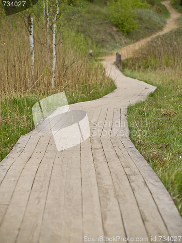 Image of Path
