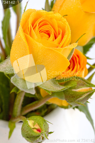 Image of yellow flowers
