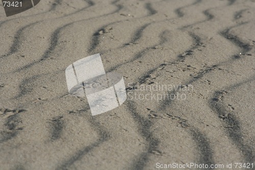 Image of Sand Wavelets