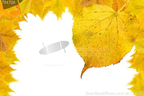 Image of Beautiful golden leaves in autumn