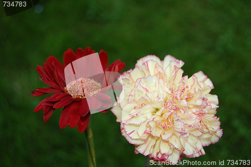 Image of flowers