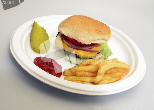 Image of Burger and Fries