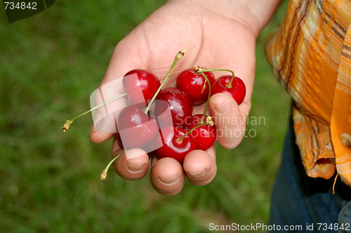 Image of cherries