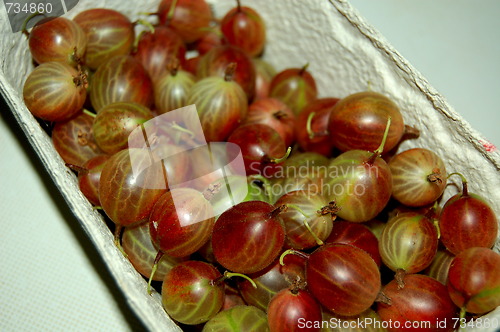 Image of gooseberries