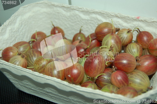 Image of gooseberries