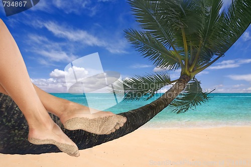 Image of Girl Dangling Her Feet on a Palm Tree