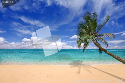 Image of Teal Waters of the Hawaiian Islands